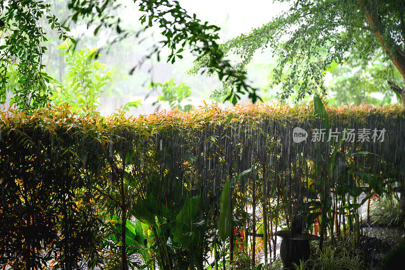 热带度假胜地的雨季