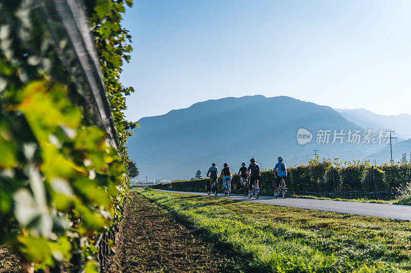 越过葡萄藤，望向道路和山峦