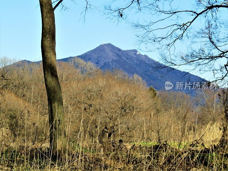 日本。2月。蓝山筑波。冬天的风景。