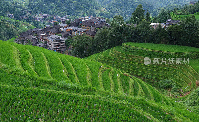 桂林龙胜梯田