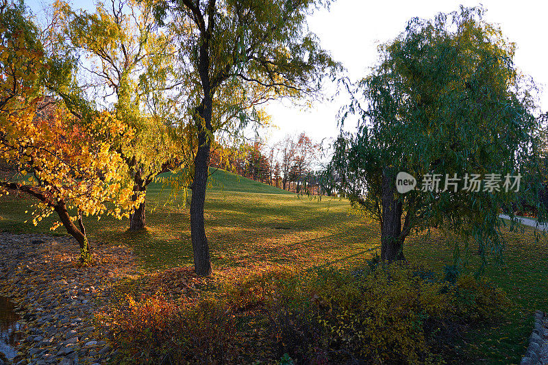 森林中的秋天景观，日本花园，基尔希尔市，土耳其