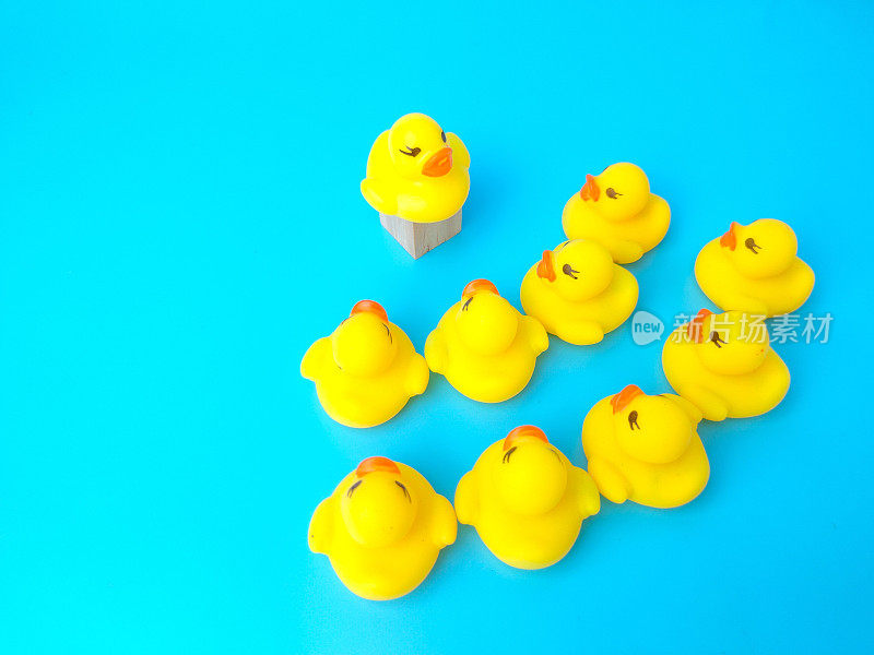 一组黄色玩具鸭子，蓝色背景上有一个领导者，领导者和团队合作的概念