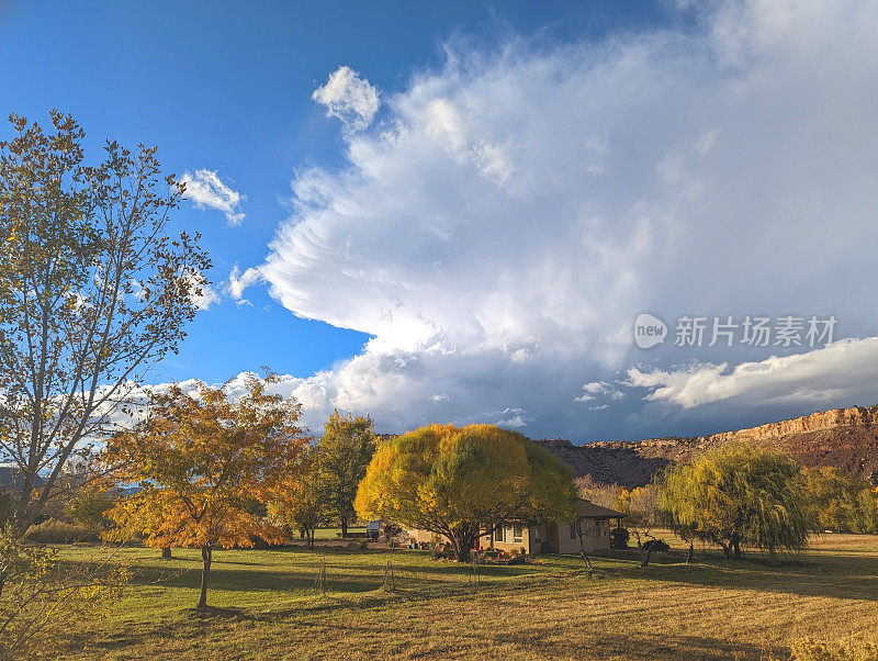 秋天的维珍河谷牧场，在犹他州历史悠久的罗克维尔桥旁，背景是犹他州西南部的锡安国家公园