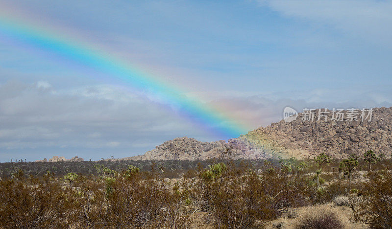约书亚树国家公园附近沙漠上的彩虹