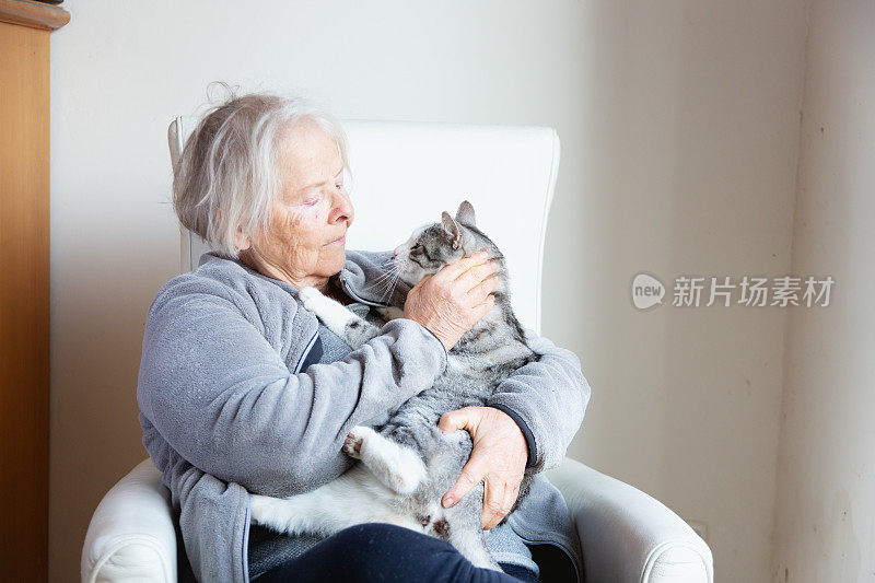 老年妇女快乐的宠物主人与虎斑猫