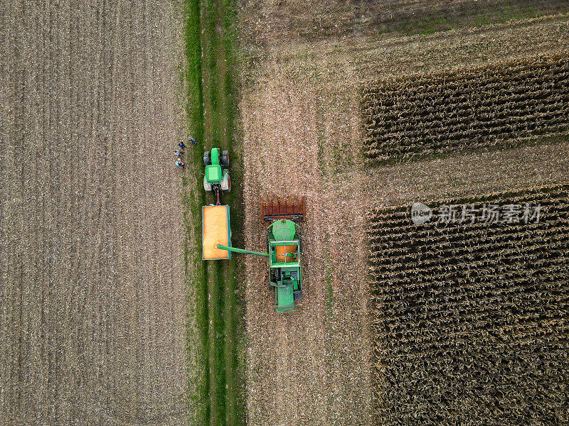 鸟瞰图，联合收割机在农田上将玉米填充到拖拉机拖车上