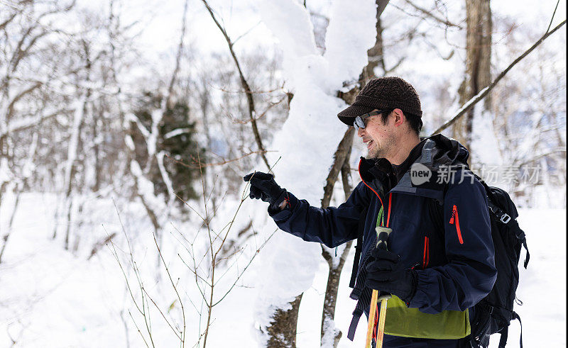 一个穿雪鞋的徒步旅行者停下来检查雪林里的一株植物