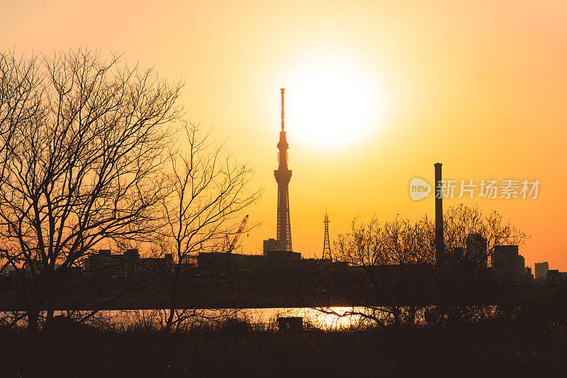 东京天空树的剪影和傍晚的东京市景