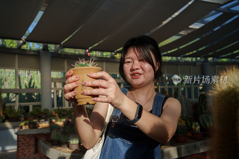 《女孩和仙人掌的故事