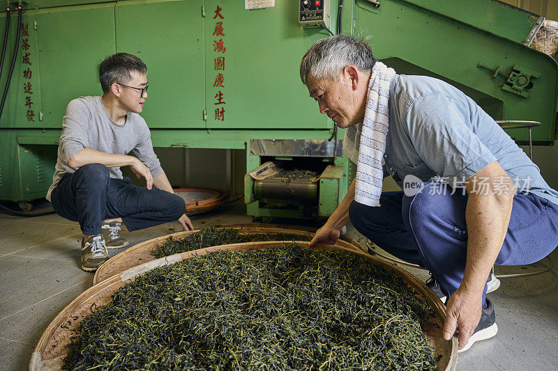 一对农民父子在茶厂里加工茶叶。