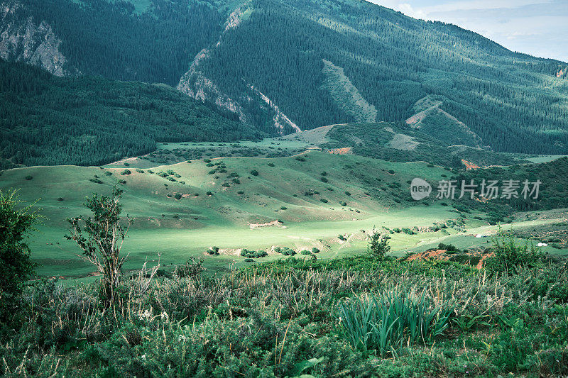 夏季山脊的高角度视图