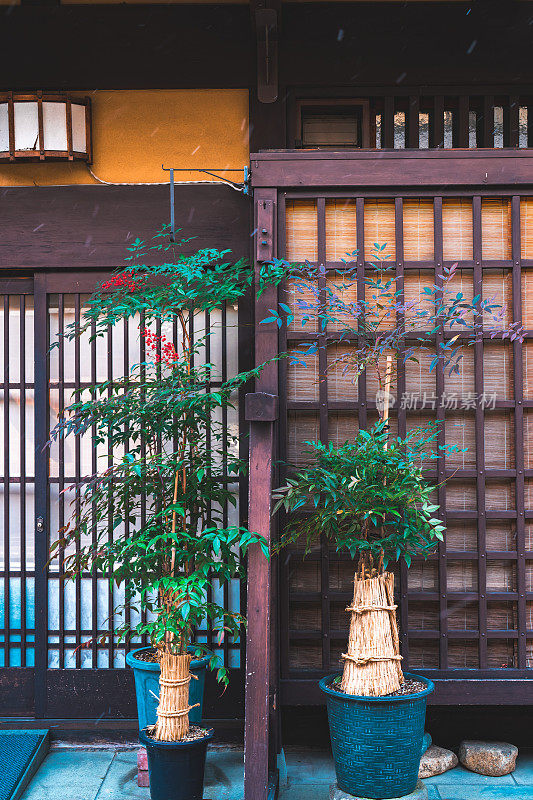 日本人房子入口处的灌木丛