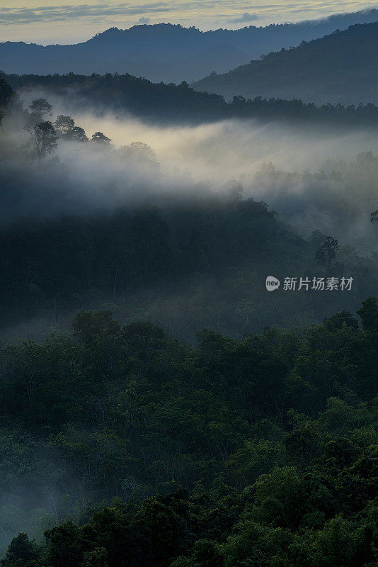 日出时看到的山脉或热带雨林中的山谷，有淡淡的雾和绿色