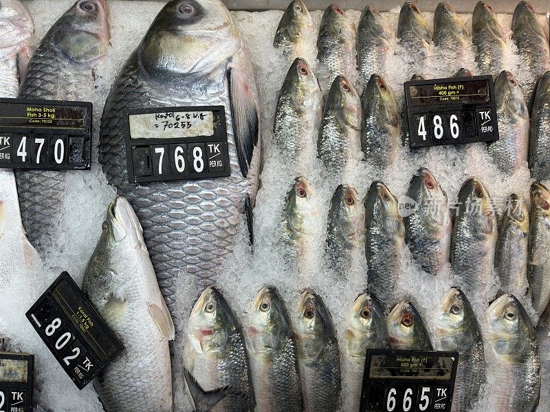 超市展示优质淡水鱼