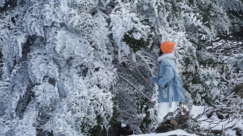 一个女人在寒冷的天气里穿行于白雪覆盖的山林之中