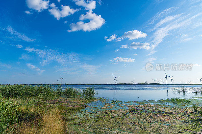 黑龙江省大庆市湿地风力发电