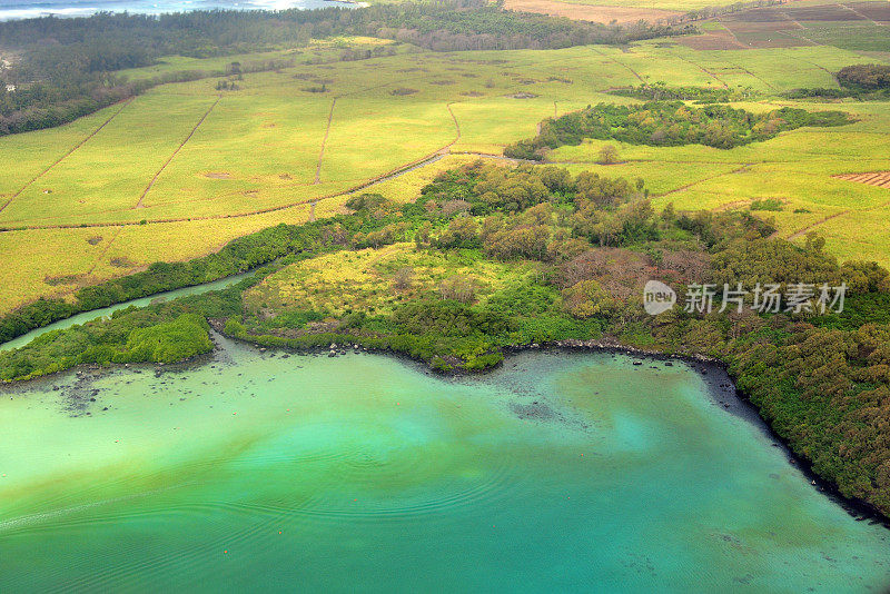 甘蔗种植园和红树林面对蓝湾海洋公园，普莱尼格恩，毛里求斯