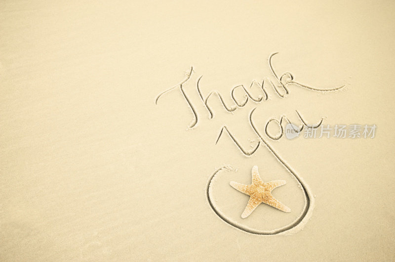 用海星手写的感谢信息在干净的沙滩上