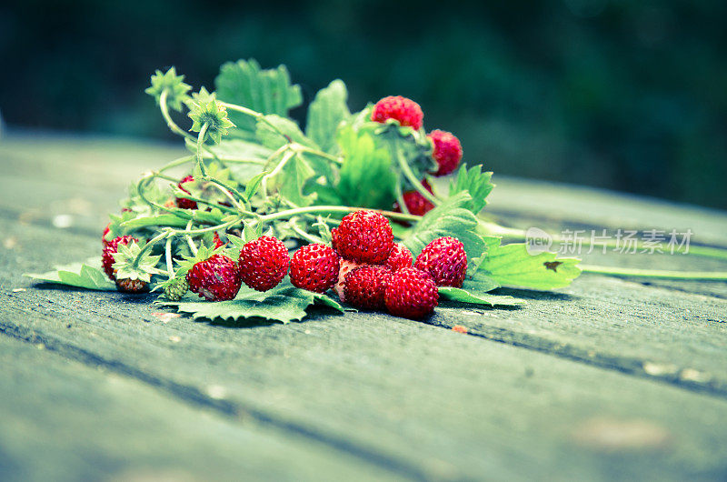 野草莓