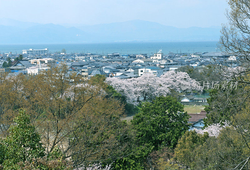 日本彦根的琵琶湖