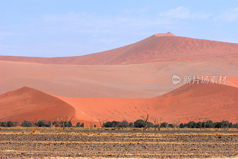 红沙丘，索苏瓦莱，纳米比亚