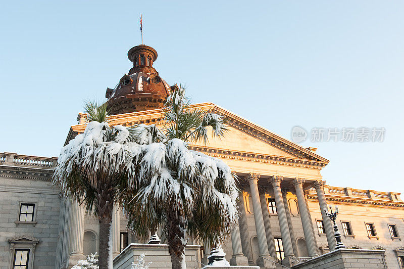 南卡罗来纳州议会大厦的棕榈树上覆盖着积雪