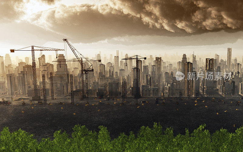 城市森林砍伐
