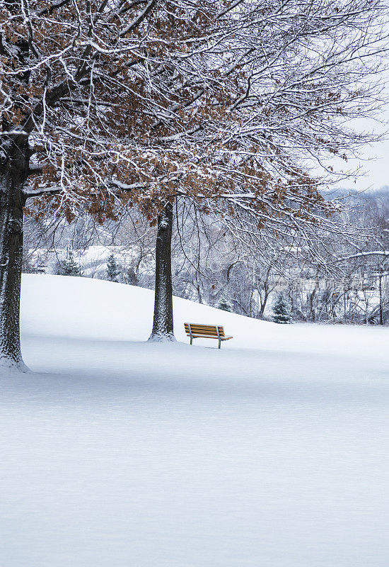 黄山头公园长凳上的冬季暴风雪雪