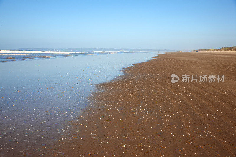 荒芜的海滩和沙丘