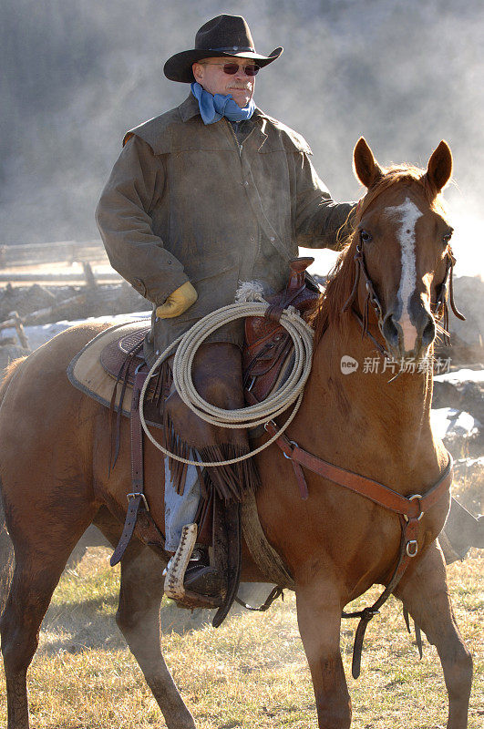 灰尘中的牛仔和马