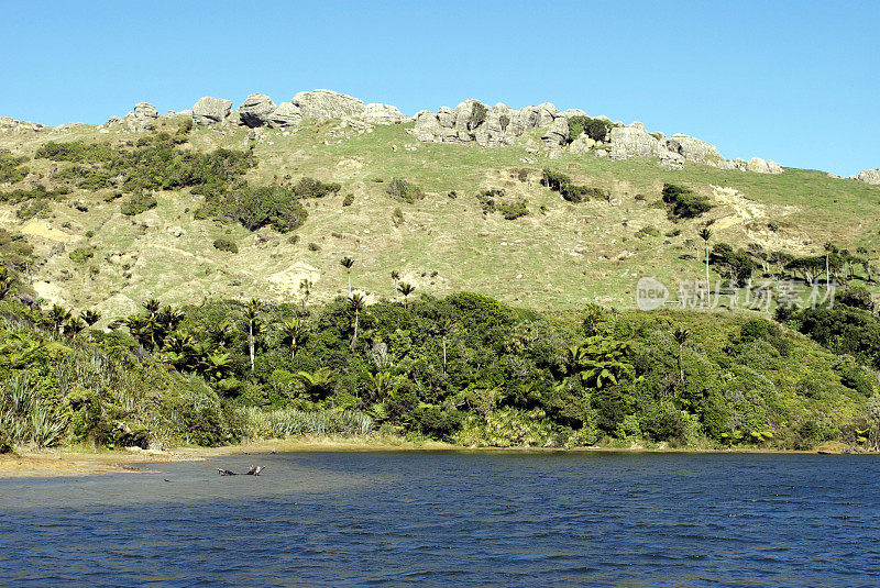 凯霍卡湖风景保护区，金湾，新西兰