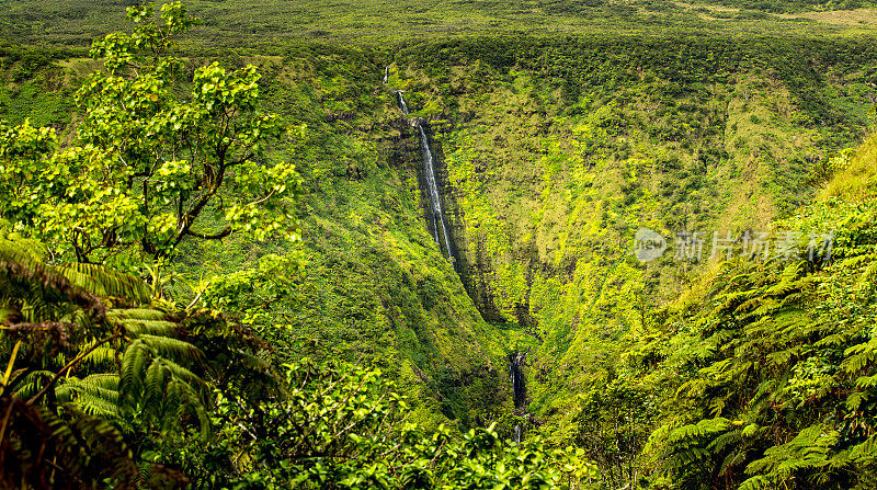 丛林山谷