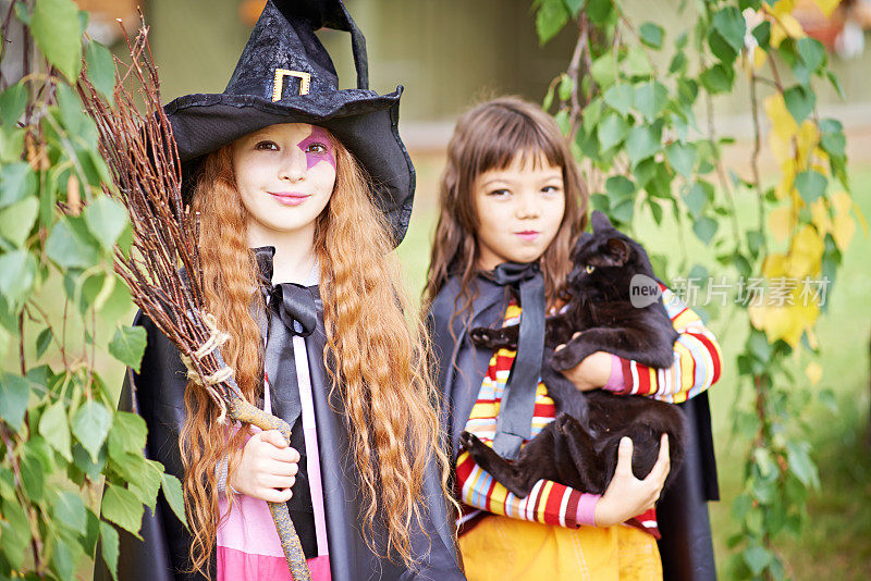两个小女巫和黑猫