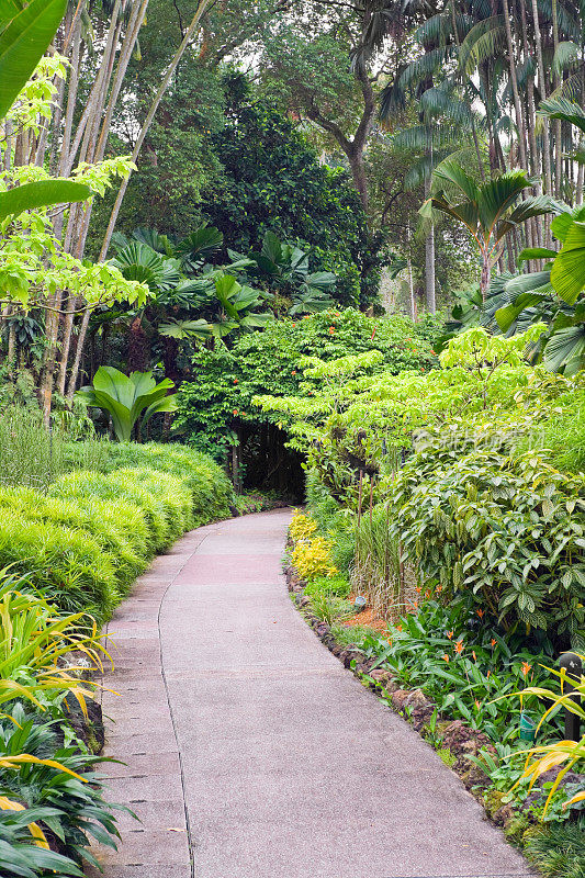 新加坡植物园之路