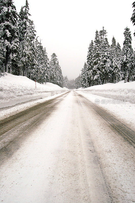 漫漫冬雪路