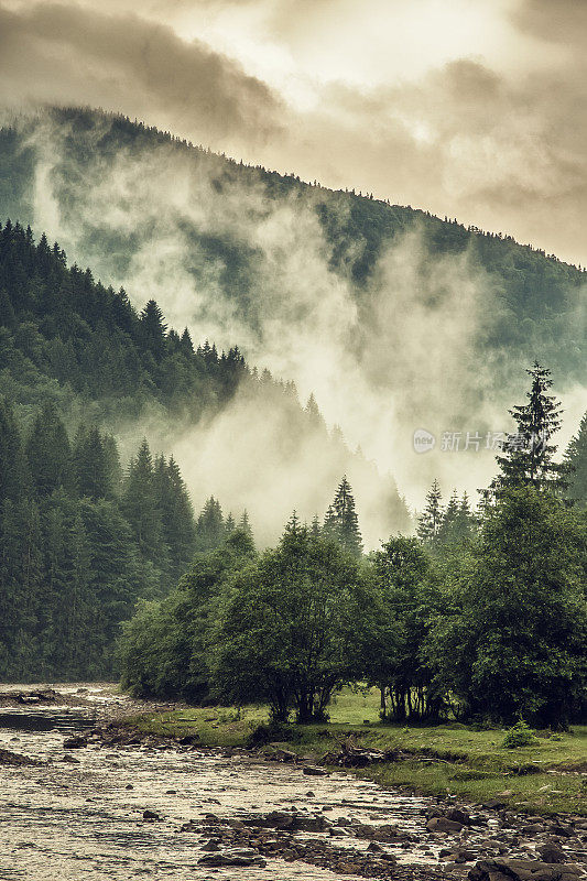 迷雾多雨的山