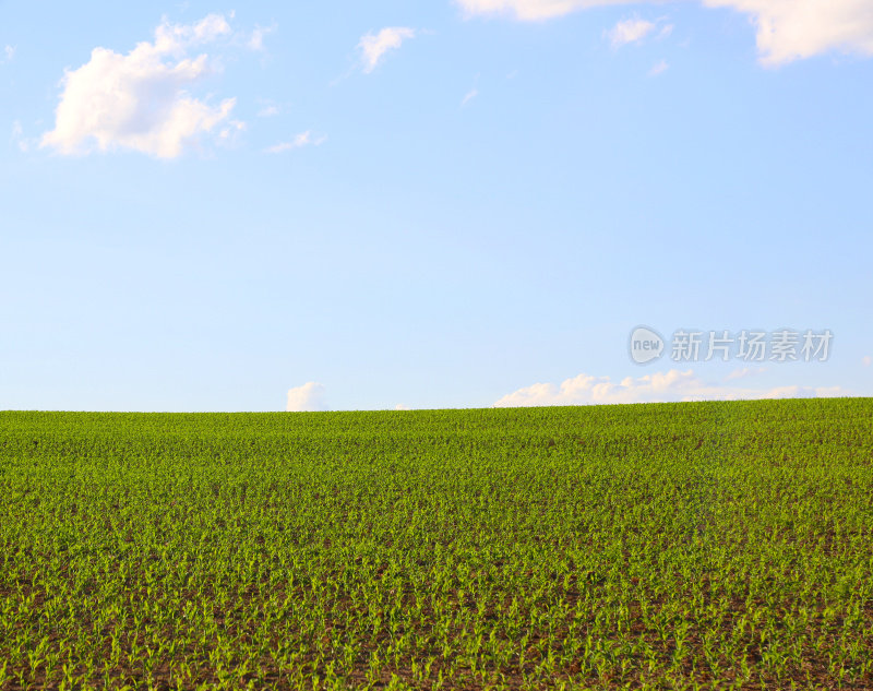 田野和天空