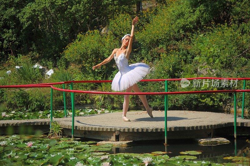 芭蕾舞演员在百合花的池塘上跳舞