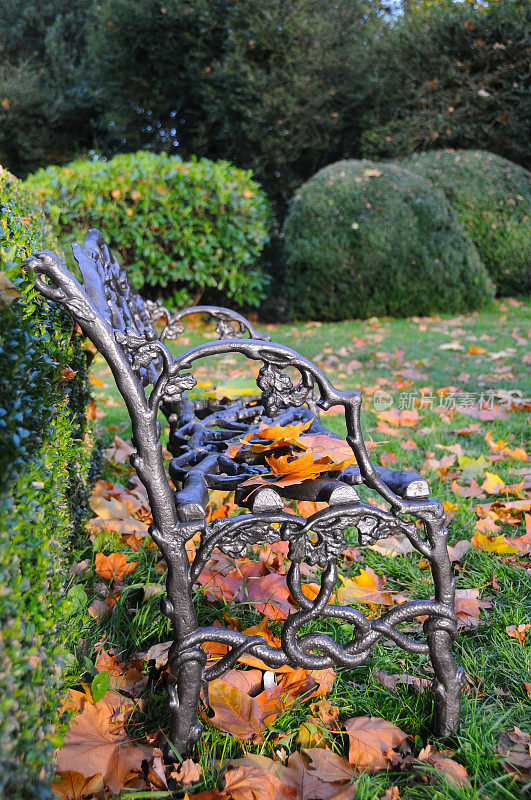 秋天的长椅上。
