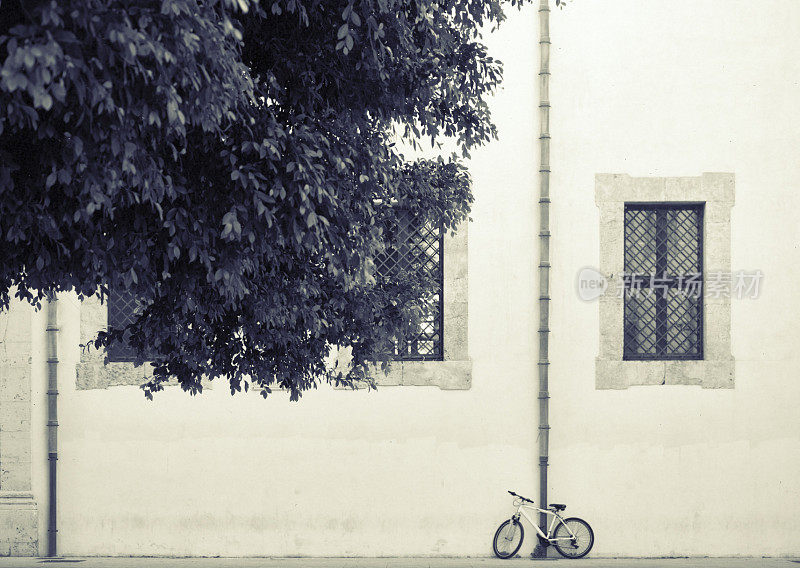 自行车靠墙停在树下