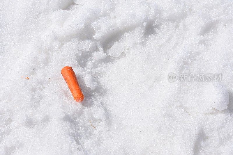 雪中的胡萝卜