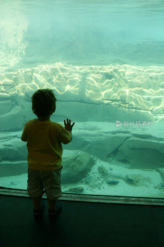 儿童关注水族馆