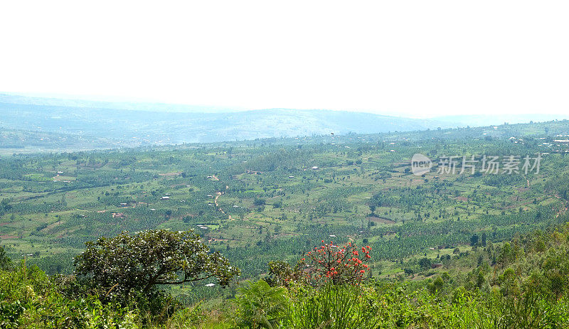 卢旺达:卢瓦马加纳地区