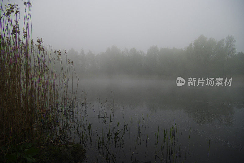 湖面上的薄雾