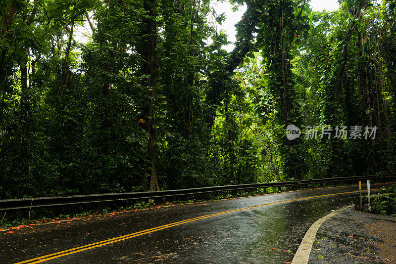 通往夏威夷毛伊岛哈纳岛的公路