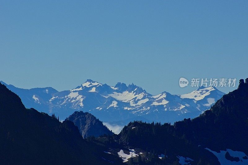 山羊岩石野生蓝色冰