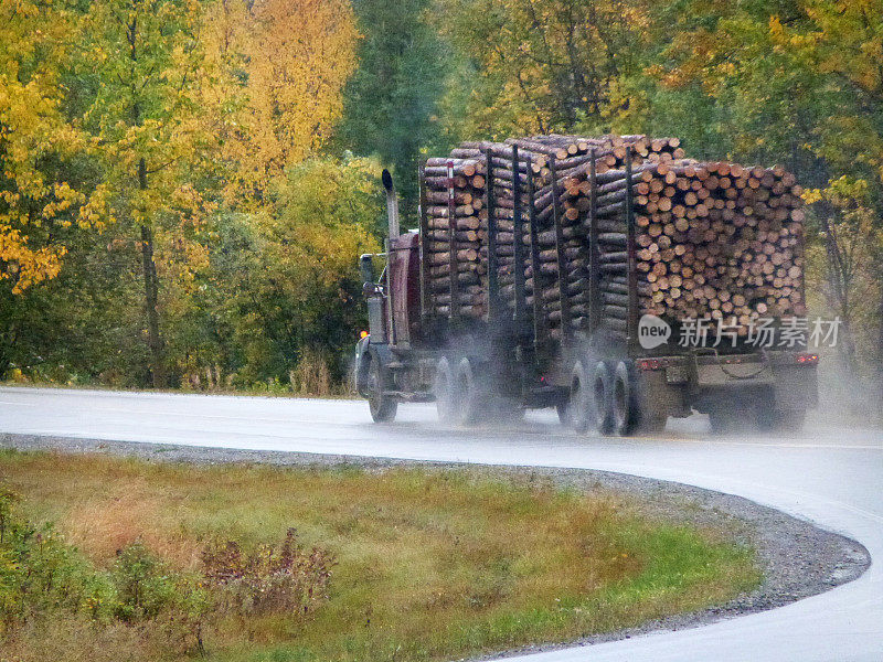 伐木卡车在雨中行驶