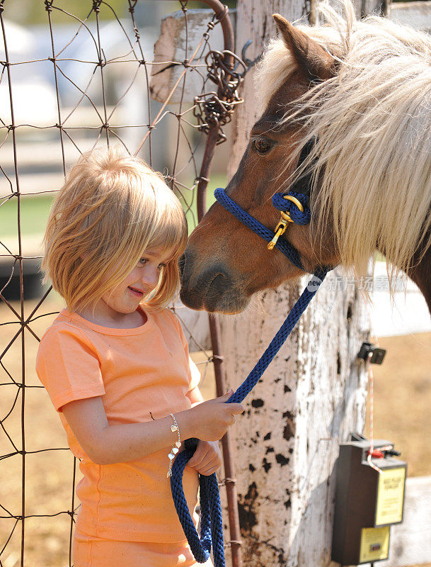 宝贝女孩和她的小马