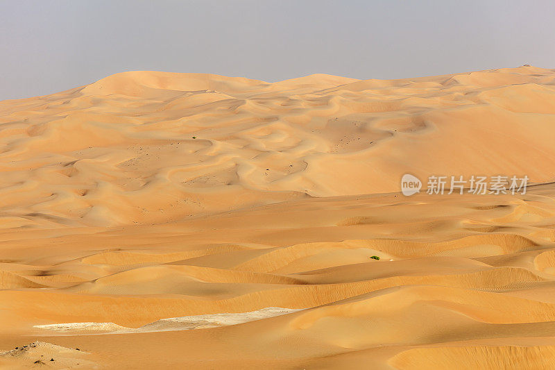 沙漠中的沙丘。阿布扎比,阿拉伯联合酋长国