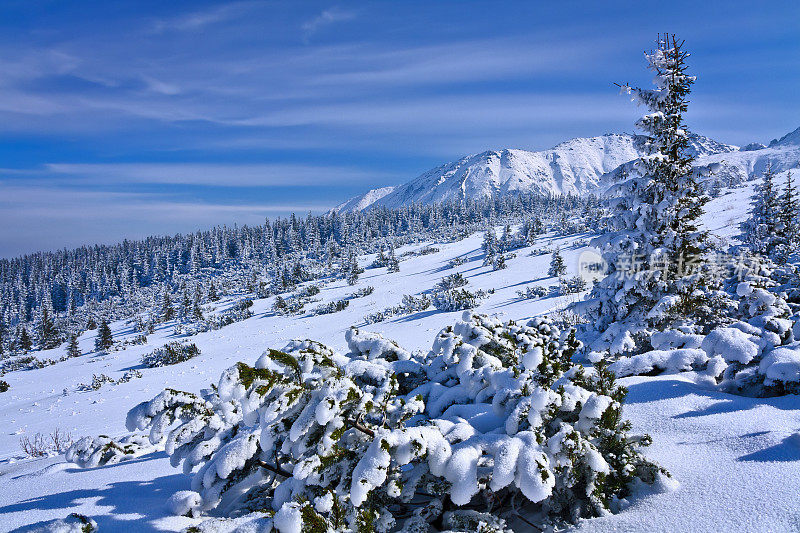 冬天的山风景